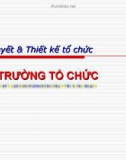 Bài giảng Lý thuyết & thiết kế tổ chức: Chương 3 - Môi trường tổ chức