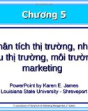 Phân tích thị trường, nhu cầu thị trường, môi trường Marketing