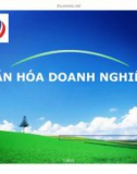 Bài giảng Văn hóa doanh nghiệp (Nguyễn Quang Chương)