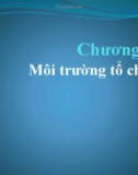 Bài giảng Quản trị hiện đại - Chương 3: Môi trường tổ chức