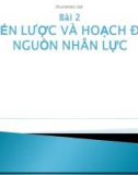 Bài giảng Quản trị nguồn nhân lực ( Lê Thị Thảo) - Chương 2 Chiến lược & hoạch định nguồn nhân lực