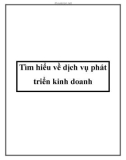 Tìm hiểu về dịch vụ phát triển kinh doanh