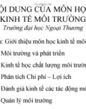 Kinh tế môi trường - khái niệm và những vấn đề liên quan