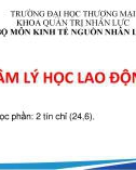 Bài giảng Tâm lý học lao động - Chương 0: Mở đầu