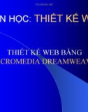 Bài giảng Thiết kế web bằng Macromedia Dreamweaver