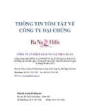 Thông tin tóm tắt về công ty đại chúng Bà Nà Hills