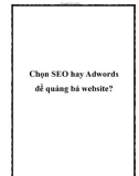 Chọn SEO hay Adwords để quảng bá website?