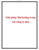 Giải pháp Marketing trong các công ty nhỏ