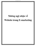 Những ngộ nhận về Website trong E-marketing