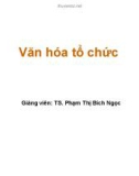 Bài giảng Văn hóa tổ chức - TS. Phạm Thị Bích Ngọc