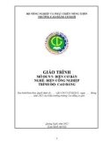 Giáo trình Điện cơ bản (Nghề: Điện công nghiệp - Cao đẳng) - Trường Cao đẳng Cơ giới (2022)