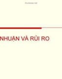 Bài giảng Lợi nhuận và rủi ro