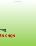 Bài giảng Quản trị danh mục đầu tư - Chương 7: Quyền chọn