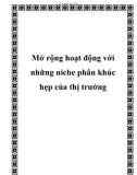 Mở rộng hoạt động với những niche phân khúc hẹp của thị trường