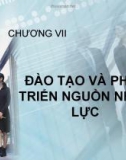 CHƯƠNG VII: Đào tạo và phát triển nguồn nhân lực