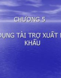 Bài giảng Thanh toán quốc tế và tài trợ xuất nhập khẩu - Chương 5: Tín dụng tài trợ xuất nhập khẩu