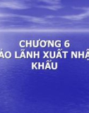 Bài giảng Thanh toán quốc tế và tài trợ xuất nhập khẩu - Chương 6: Bảo lãnh xuất nhập khẩu