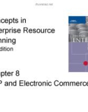 Bài giảng Concepts in Enterprise Resource Planning (2nd Edition) - Chương 8: ERP and Electronic Commerce