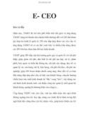 E- CEO