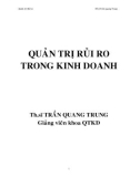 Quản trị rủi ro trong kinh doanh - ThS. Trần Quang Trung