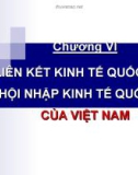 Kinh tế quốc tế (Học viện tài chính) - Chương 6