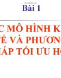 Bài giảng Kinh tế học vi mô - Bài 1 Các mô hình kinh tế và phương pháp tối ưu hóa