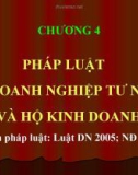 PHÁP LUẬT VỀ DOANH NGHIỆP TƯ NHÂN VÀ HỘ KINH DOANH