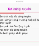 Kinh tế lượng - Đa cộng tuyến part 1