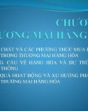 Bài giảng Kinh tế thương mại đại cương - Chương 4: Thương mại hàng hóa