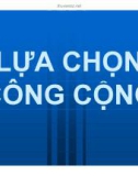 Bài giảng kinh tế học công cộng: Lựa chọn công cộng (mới) - ThS. Hoàng Trung Dũng