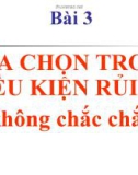 Bài giảng Kinh tế học vi mô - Bài 3 Lựa chọn trong điều kiện rủi ro