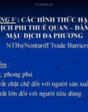 Bài giảng Kinh tế quốc tế - Chương 5: Các hình thức hạn chế mậu dịch phi thuế quan – đàm phán mậu dịch đa phương (2017)