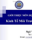 Bài giảng Kinh tế môi trường: Chương mở đầu