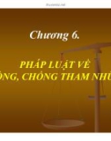 Bài giảng Pháp luật đại cương: Chương 7 - ĐH Kinh tế Đà Nẵng