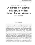 A Companion to Urban Economics - Arnott and McMillen - Chapter 24