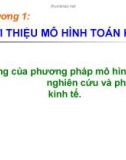 Chương 1: Giới thiệu mô hình toán kinh tế (Bài 2)