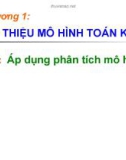 Chương 1: Giới thiệu mô hình toán kinh tế (Bài 3)