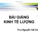 Bài giảng Kinh tế lượng: Chương 1 - Th.s Nguyễn Hải Dương