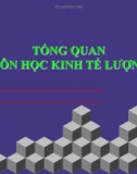 Bài giảng môn Kinh tế lượng (272tr)