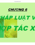 Bài giảng Luật kinh tế: Chương 6 - Ths. Nguyễn Ngọc Duy Mỹ