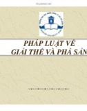 PHÁP LUẬT VỀ GIẢI THỂ VÀ PHÁ SẢN