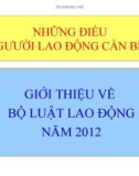 Bài giảng Giới thiệu về bộ Luật Lao động năm 2012