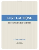 Đề cương ôn tập chi tiết Luật lao động