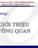 Bài giảng Quản lý dự án phần mềm: Chương 1 - Trần Thị Kim Chi