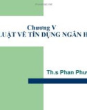 Pháp luật về tín dụng ngân hàng - Ths Phan Phương Nam