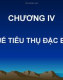 Bài giảng Chương IV: Thuế tiêu thụ đặc biệt