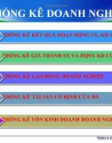 Bài giảng Thống kê doanh nghiệp - Chương 2