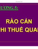 Bài giảng Kinh tế quốc tế: Chương 5 - Trần Bích Vân