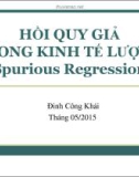 Bài giảng Hồi quy giả trong kinh tế lượng (Spurious Regression) - Đinh Công Khải