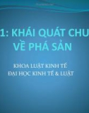 Bài giảng Luật phá sản - Bài 1: Khái quát chung về phá sản